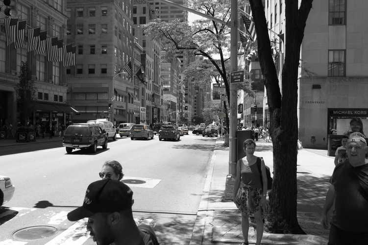 NYC_2015-06-22 12-16-03_IMG_5219